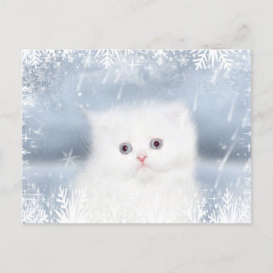 Cartão Postal De Festividades Natal persa branco do gatinho