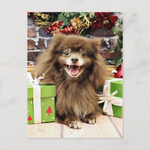Cartão Postal De Festividades Natal - Pomeranian - Fred