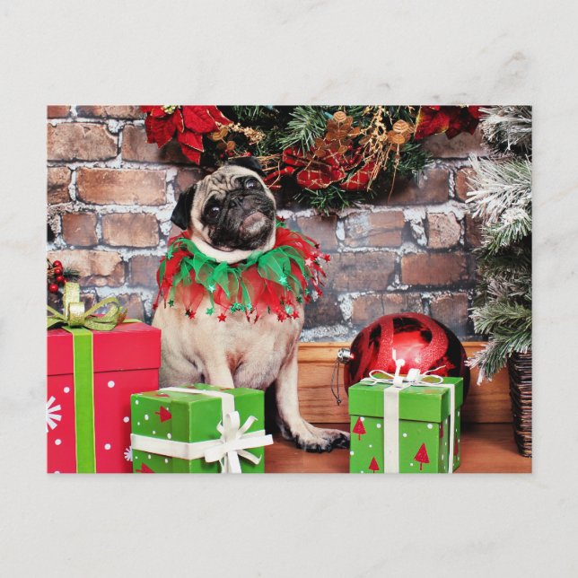 Cartão Postal De Festividades Natal - Pug - Lily Lou (Frente)