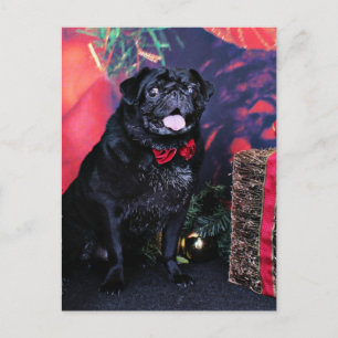 Cartão Postal De Festividades Natal - Pug - Pequeno Moe