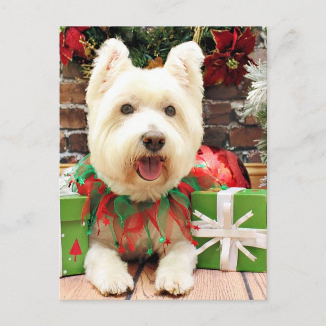Cartão Postal De Festividades Natal - Westie - Sorte (Frente)