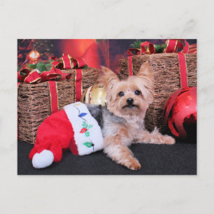 Cartão Postal De Festividades Natal - Yorkshire Terrier - Vinnie