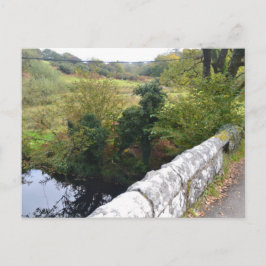 Cartão Postal De Festividades nature way of impersonating animalHoliday Postcard