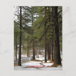 Cartão Postal De Festividades Neve No Cartão-Postal De Natal