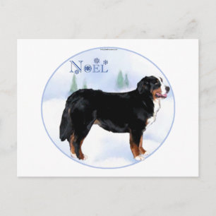 Cartão Postal De Festividades Noel Bernese Mountain Dog