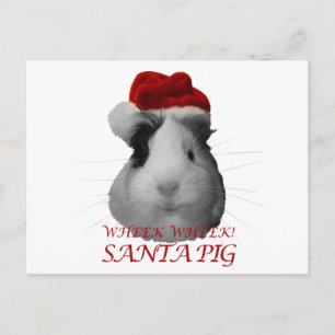Cartão Postal De Festividades Noel Claus Pig Guiné Férias de Natal