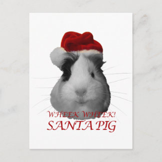 Cartão Postal De Festividades Noel Claus Pig Guiné Férias de Natal