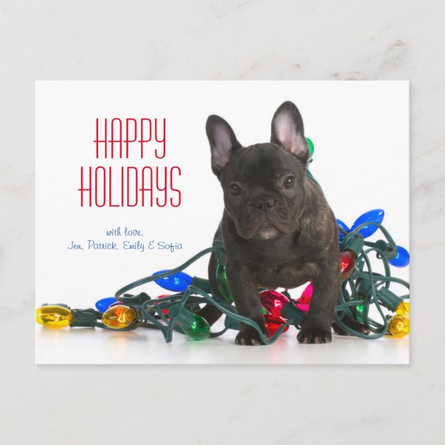 Cartão Postal De Festividades O Buldogue Francês Puppy Tangido Em Luzes (Frente)
