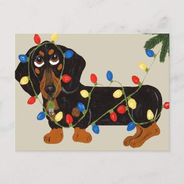 Cartão Postal De Festividades O Dachshund Tangled no preto das luzes de (Frente)