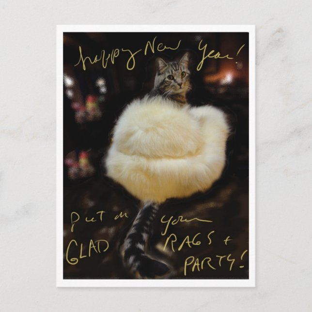 Cartão Postal De Festividades O feliz ano novo!  Pnha sobre seus panos e partido (Frente)