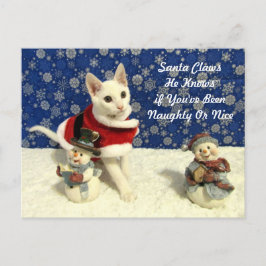 Cartão Postal De Festividades O Natal de Yuki - Cartão de Natal de Gato / Kitten