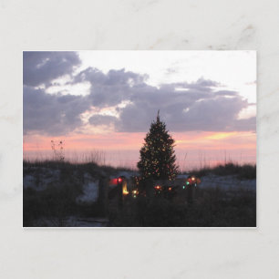 Cartão Postal De Festividades O Natal no indiano balança a praia, Florida