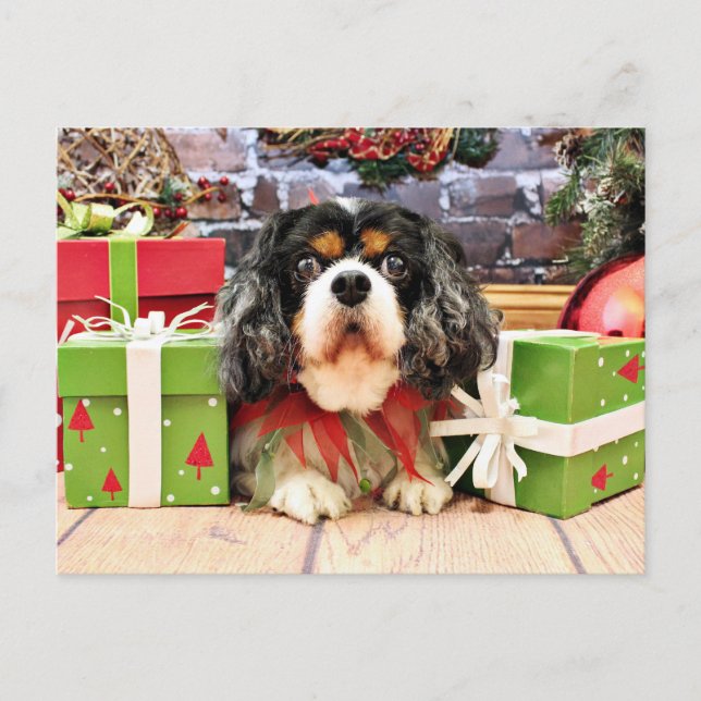 Cartão Postal De Festividades O Natal - Spaniel de rei Charles descuidado - (Frente)