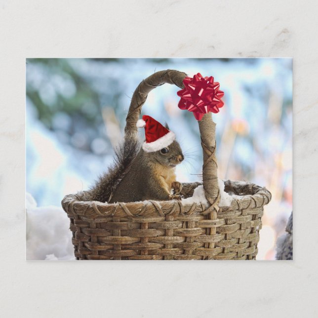 Cartão Postal De Festividades O papai noel Squirrel na neve (Frente)