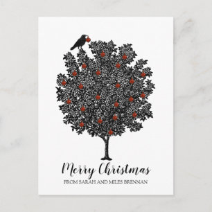 Cartão Postal De Festividades O Pássaro Corvo Decora a Árvore de Natal