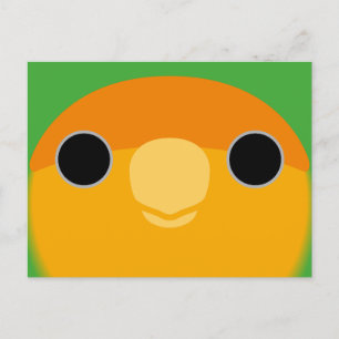 Cartão Postal De Festividades O rosto de um pombinho de cara laranja