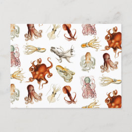 Cartão Postal De Festividades Octopus Cephaloposo Oceânico