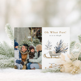 Cartão Postal De Festividades Oh, Que Foto Divertida De Sleigh