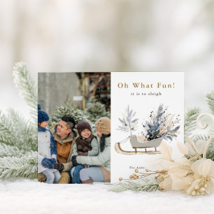 Cartão Postal De Festividades Oh, Que Foto Divertida De Sleigh