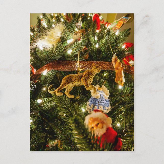 Cartão Postal De Festividades Olhando A Árvore De Natal (Frente)