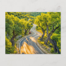 Oliveira com Trator Antigo na Estrada da Noite