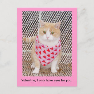 Cartão Postal De Festividades Only have eyes for you.