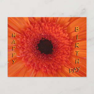 Cartão Postal De Festividades Orange Gerbera Fechou Feliz Cartão de Aniversário