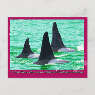 Cartão Postal De Festividades Orca Whales Come Sailing on Christmas Day Holiday