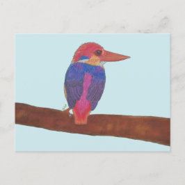 CARTÃO POSTAL DE FESTIVIDADES ORIENTAL DWARF KINGFISHER