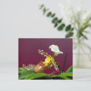Cartão Postal De Festividades Orquídea Chinelo de Vênus
