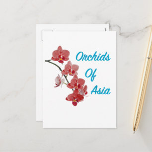 Cartão Postal De Festividades Orquídeas da Ásia Day Spa