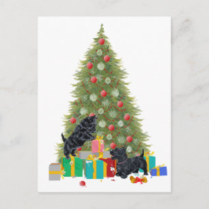Cartão Postal De Festividades Os Scotties classificam os presentes do Natal