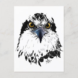 Cartão Postal De Festividades Osprey Desenho Branco Preto com Olhos Piercantes