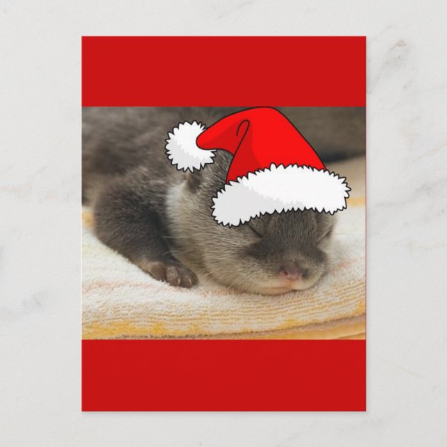 Cartão Postal De Festividades Otter Natal (Frente)