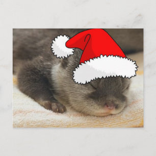 Cartão Postal De Festividades Otter Natal