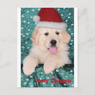 Cartão Postal De Festividades Ouro Retriever Natal Puppy