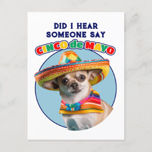 Cartão Postal De Festividades Ouvi Cinco De Mayo Sombrero Chihuahua?