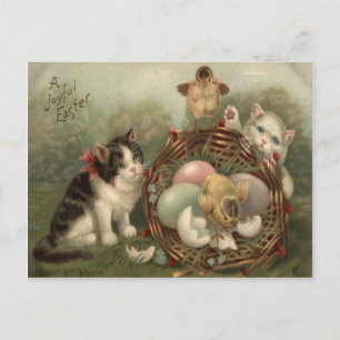 Cartão Postal De Festividades Ovo de Páscoa Pintado Colorido Gatinho Frango