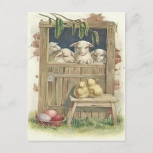 Cartão Postal De Festividades Ovo Pintado Cores Celeiro Cordeiro Pintinho de Pás