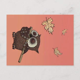 Cartão Postal De Festividades Owl Animals Art | An Owl On Old Paper