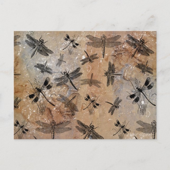 Cartão Postal De Festividades Padrão de Entomologia Desconfortável do Dragonfly  (Frente)