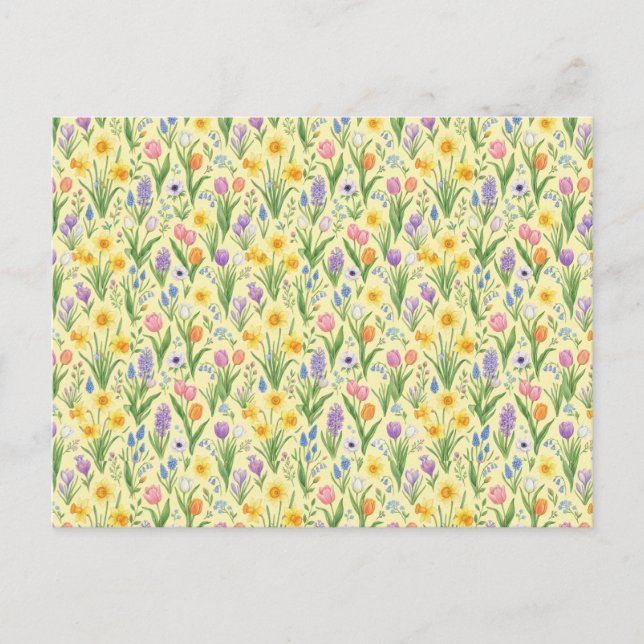 Cartão Postal De Festividades Padrão de Explosão de Flores da Primavera (Frente)