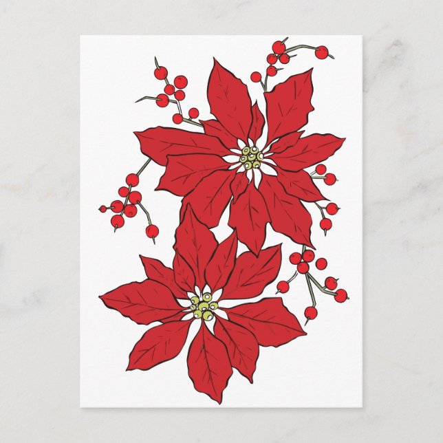 Cartão Postal De Festividades Padrão de Natal da Red Poinsettia (Frente)