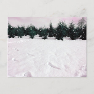 Cartão Postal De Festividades Paisagem de inverno com larícios na neve de férias