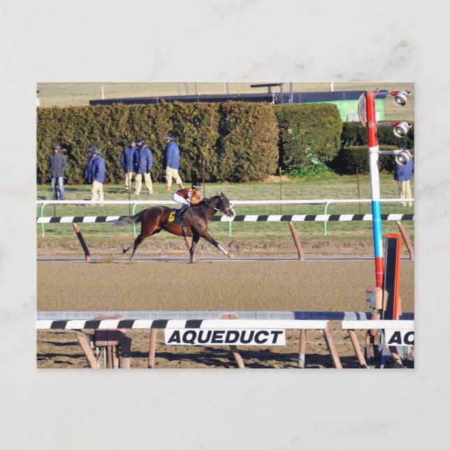 Cartão Postal De Festividades Palestra pacífica ganha no Dia do ano novo (Frente)