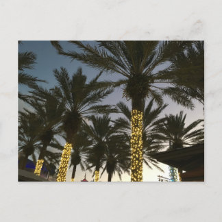 Cartão Postal De Festividades Palm Tree Christmas Lights