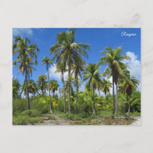 Cartão Postal De Festividades palmeiras de Rangiroa