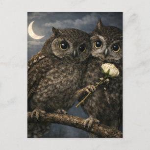 Cartão Postal De Festividades Papagaios de Amor Engraçados com Flor no Dia dos N