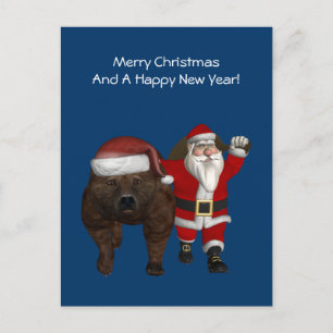 Cartão Postal De Festividades Papai Noel Andando Um Urso