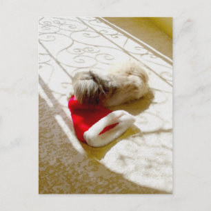 Cartão Postal De Festividades Papai Noel Capturado